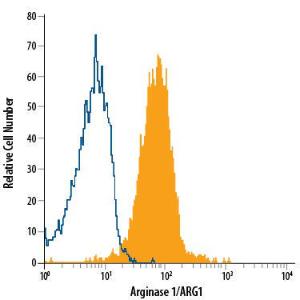 Anti-ARG1 Sheep Polyclonal Antibody (APC (Allophycocyanin))