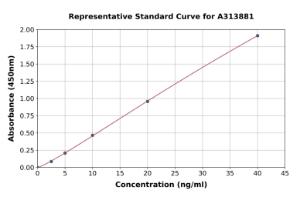 Representative standard curve for human Dihydrofolate Reductase/DHFR ELISA kit (A313881)