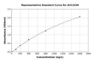 Representative standard curve for Human SSB ELISA kit (A312240)