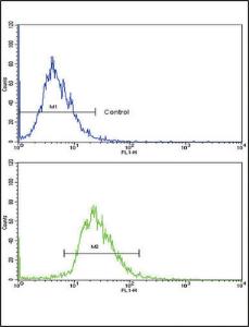 Anti-CD82 Rabbit Polyclonal Antibody (Biotin)