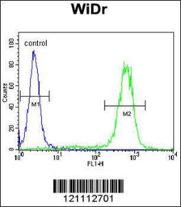 Anti-CALR Rabbit Polyclonal Antibody (PE (Phycoerythrin))