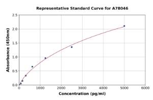 Representative standard curve for Human E-Selectin/CD62E ELISA kit (A78046)