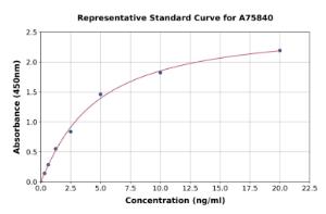 Representative standard curve for Rat SLC25A20 ELISA kit (A75840)