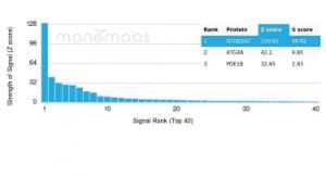 Analysis of protein array containing more than 19,000 full-length human proteins using Anti-Mammaglobin A Antibody [MGB/4057R