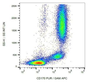 Flow cytometric analysis of human peripheral blood cells with Anti-CD170 Antibody [1A5], GAM-APC