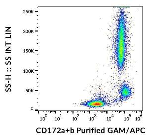 Antibody anti-CD172AB SE5A5 100 µg