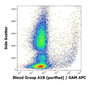 Flow cytometric analysis of human peripheral whole blood stained with Anti-Blood Group A1B Antigen Antibody [HE-24] (concentration in sample is 3.3 µg/ml, GAM-APC)