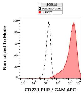 Anti-CD231 antibody