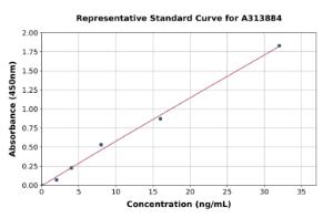 Representative standard curve for mouse GRP78 BiP ELISA kit (A313884)