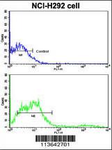 Anti-CD8A Rabbit Polyclonal Antibody (AP (Alkaline Phosphatase))