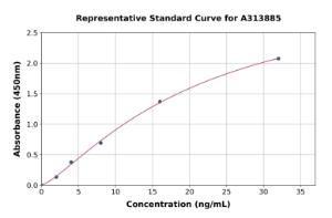 Representative standard curve for mouse IGFBP2 ELISA kit (A313885)