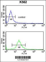 Anti-Solute Carrier Family 3 Rabbit Polyclonal Antibody (APC (Allophycocyanin))