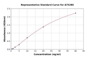 Representative standard curve for Human CDKN2A ml p14ARF ELISA kit (A75280)