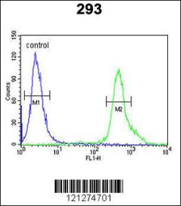 Anti-TP73 Rabbit Polyclonal Antibody (APC (Allophycocyanin))