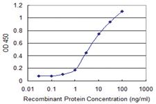 Anti-IFT20 Mouse Monoclonal Antibody [clone: 3F3]