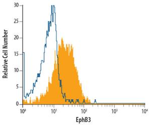 Anti-EPHB3 Mouse Monoclonal Antibody [clone: 647354]