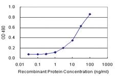 Anti-FASN Antibody Pair