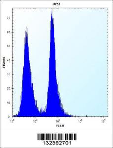 Anti-K0746 Rabbit Polyclonal Antibody (AP (Alkaline Phosphatase))