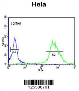 Anti-CP054 Rabbit Polyclonal Antibody (PE (Phycoerythrin))