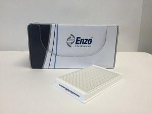 NGAL (mouse) ELISA kit