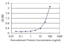 Anti-CCL2 Mouse Monoclonal Antibody (Biotin)