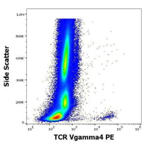 Flow cytometric analysis of human peripheral whole blood stained with Anti-TCR V gamma 4 Antibody [4A11904] (PE) (10 µl reagent/100 µl of peripheral whole blood)