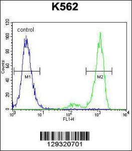 Anti-PRSS48 Rabbit Polyclonal Antibody (AP (Alkaline Phosphatase))