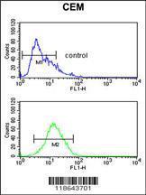 Anti-MLF1 Rabbit Polyclonal Antibody (FITC (Fluorescein Isothiocyanate))