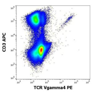 Flow cytometry multicolor surface staining pattern of human lymphocytes stained with Anti-TCR V gamma 4 Antibody [4A11904] (PE) (10 µl reagent/100 µl of peripheral whole blood) and Anti-CD3 Antibody [UCHT1] (APC) (5 µl reagent/100 µl of peripheral whole blood)