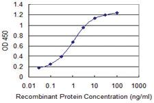 Anti-SUPT16H Mouse Monoclonal Antibody [clone: 1D12]