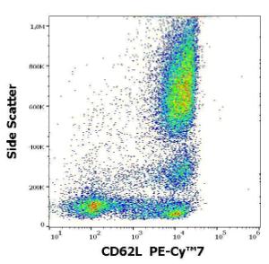 Flow cytometric analysis of human peripheral whole blood stained with Anti-CD62L Antibody [DREG56] (PE-Cyanine 7) (4 µl reagent / 100 µl of peripheral whole blood)