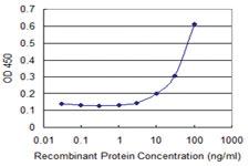 Anti-CSTA Mouse Monoclonal Antibody [clone: 4D8]