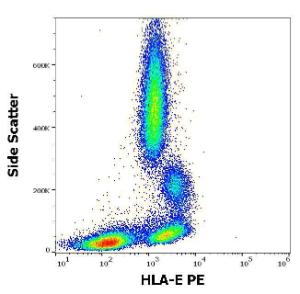 Flow cytometric analysis of human peripheral blood stained using Anti-HLA E Antibody [3D12] (PE). Concentration in sample is 2 µg/ml