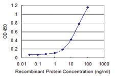 Anti-ASB3 Mouse Monoclonal Antibody [clone: 3E5]