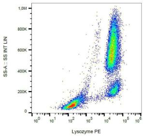 Intracellular staining of lysozyme in human peripheral blood with Anti-Lysozyme Antibody [LZ598-10G9] (PE)