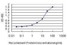 Anti-PHB Mouse Monoclonal Antibody [clone: 3F4-2B2]