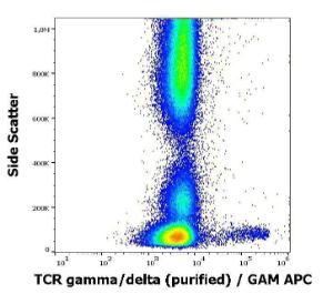 Flow cytometric analysis of human peripheral whole blood stained with Anti-TCR gamma + TCR delta Antibody [11F2] (concentration in sample is 1.7 µg/ml, GAM-APC)