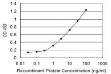 Anti-SUPT16H Mouse Monoclonal Antibody [clone: 3G9]