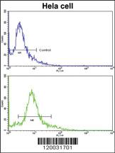 Anti-PID/MTA2 Rabbit Polyclonal Antibody