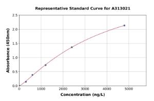 Representative standard curve for Human ANGPTL5 ELISA kit (A313021)