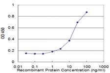 Anti-SMN2 Mouse Monoclonal Antibody [clone: 1A3-2B9]