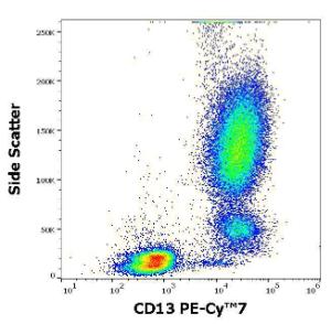 Anti-CD13 antibody