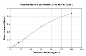 Representative standard curve for human STUM ELISA kit (A313891)