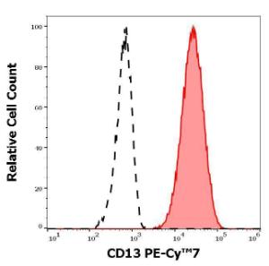 Anti-CD13 antibody