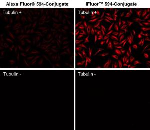 iFluor 594 maleimide