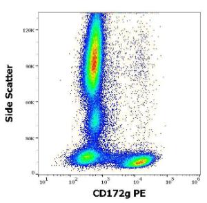 Flow cytometric analysis of human peripheral whole blood stained with Anti-CD172 gamma Antibody [OX-119] (PE) (10 µl reagent / 100 µl of peripheral whole blood)