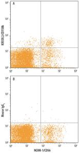 Anti-KIR3DL2 Mouse Monoclonal Antibody [clone: 539304]