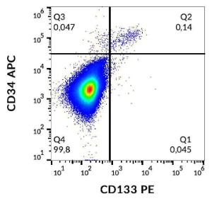 Antibody anti-CD133 293C3 PE