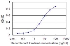 Anti-RXRA Mouse Monoclonal Antibody [clone: 4D6]