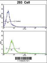 Anti-RAB13 Rabbit Polyclonal Antibody